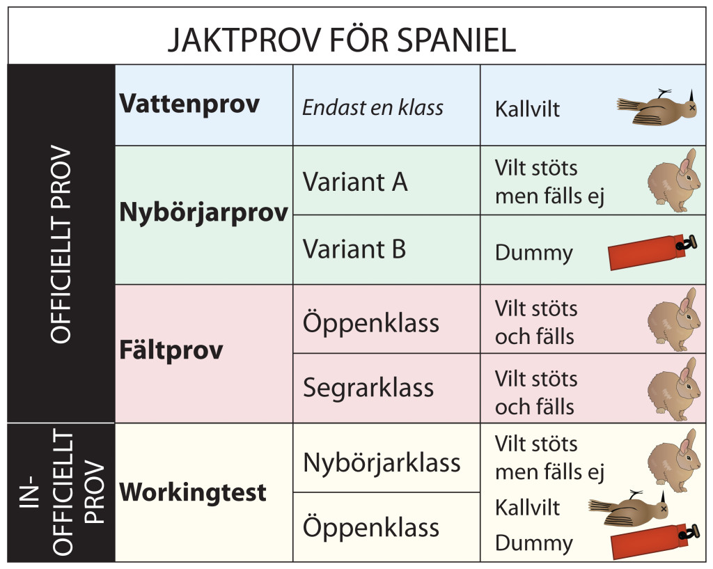 Skissen visar SSRK:s klassindelning på jaktprov för spaniel Jaktprovsklasser för spaniel
