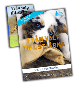 valptillstjarna