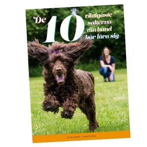 10viktigaste