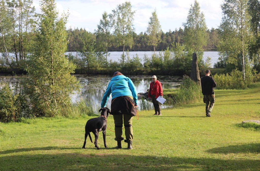 Tods första “träningsjaktprov”
