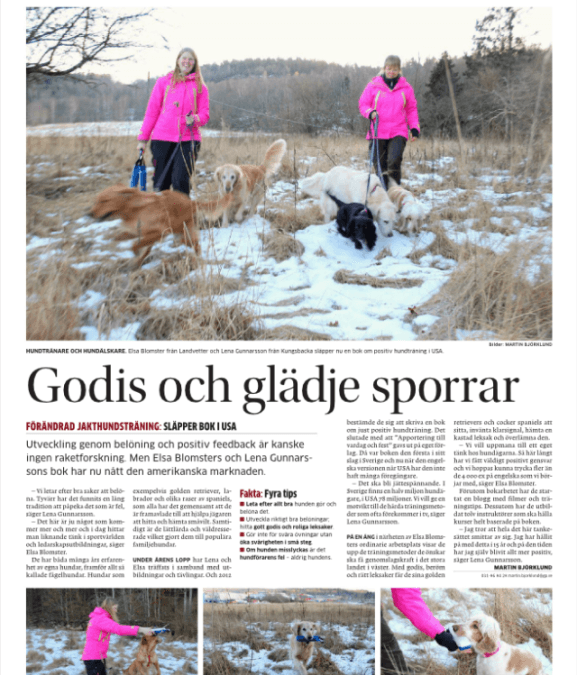 Artikel om oss i GP