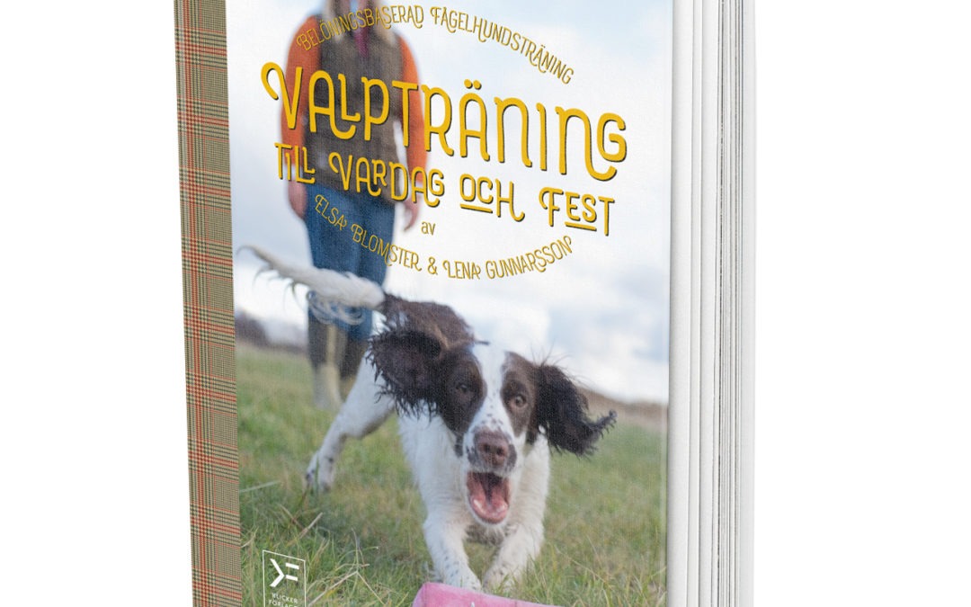 Valpträning till vardag och fest