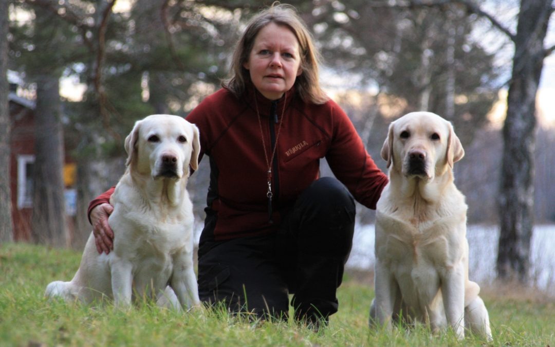 Jenny och Sally: Vem är då Sally?