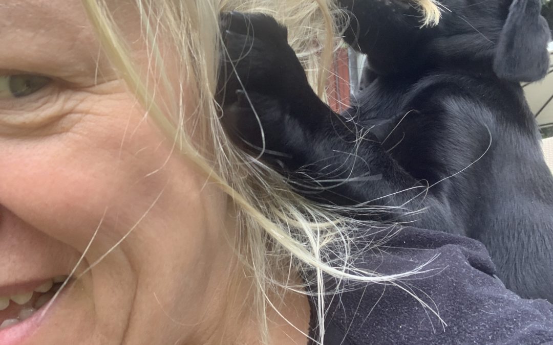 “Vad ska jag göra om jag inte “får” säga nej till min hund”