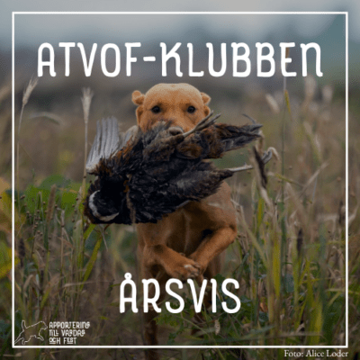 ATVOF-klubben årsvis