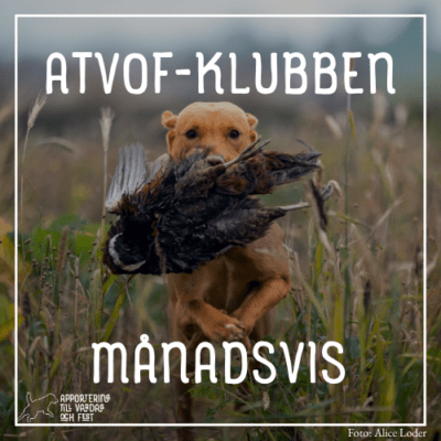 ATVOF-klubben månadsvis